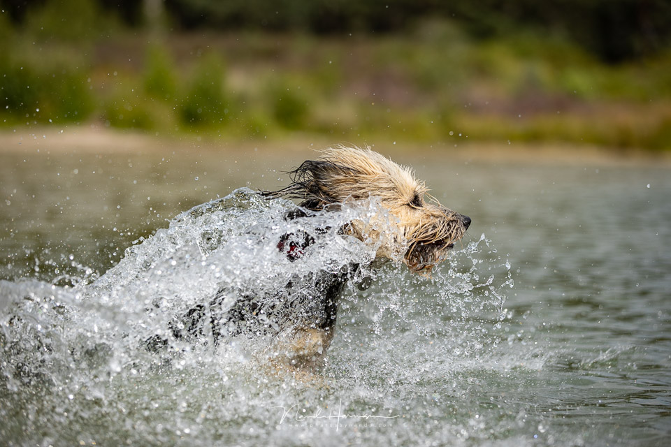 Nando Canon EOS 1DxIII Bruc water 2 Nando Canon EOS 1DxIII Bruc water 2