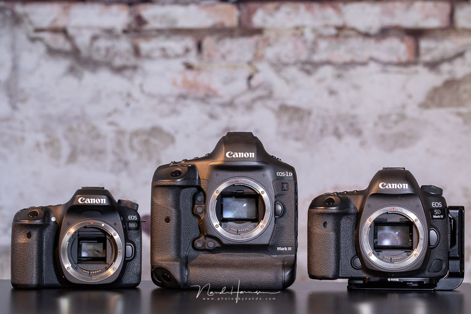 Nando Canon EOS 1DxIII size Nando Canon EOS 1DxIII size