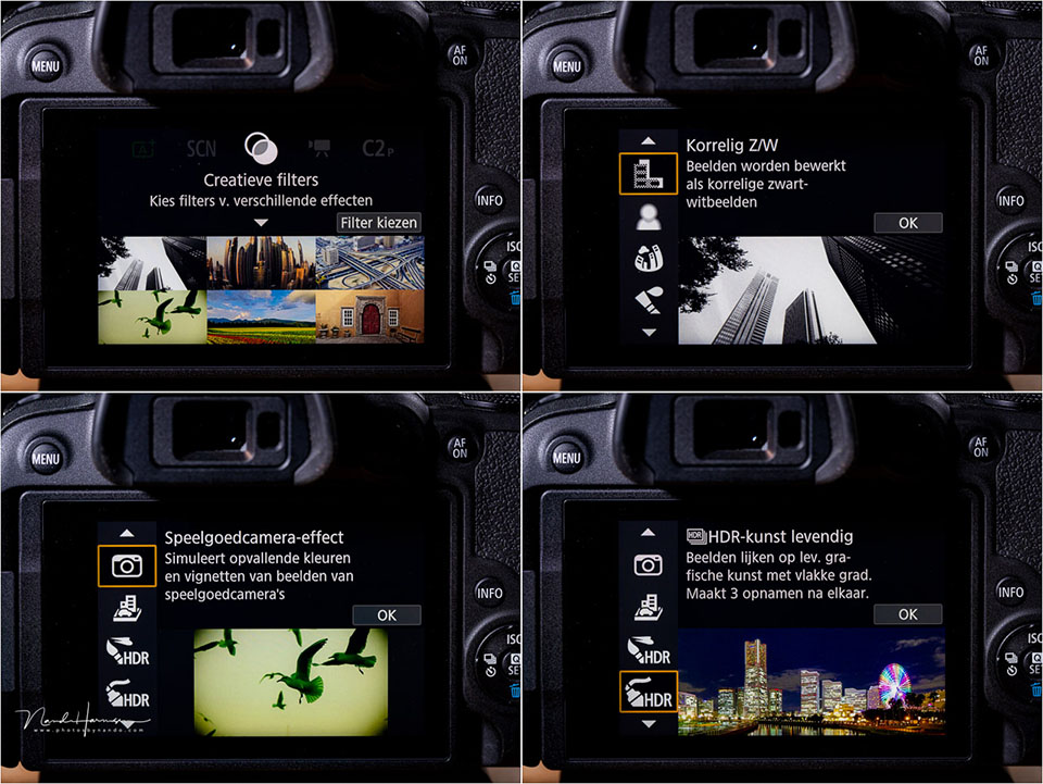 Nando Canon EOS R10 08