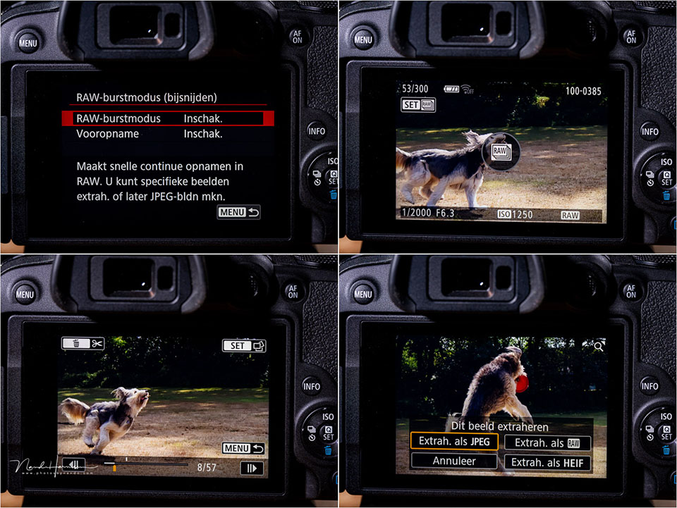 Nando Canon EOS R10 13