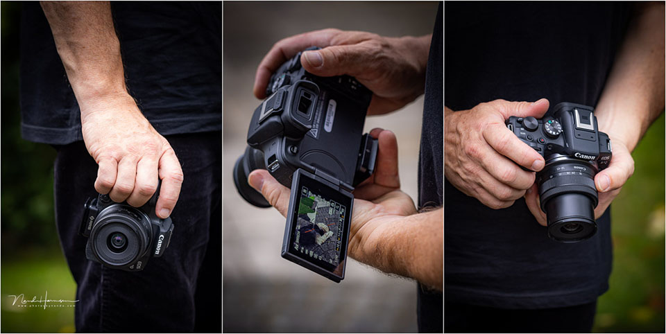 Nando Canon EOS R10 15