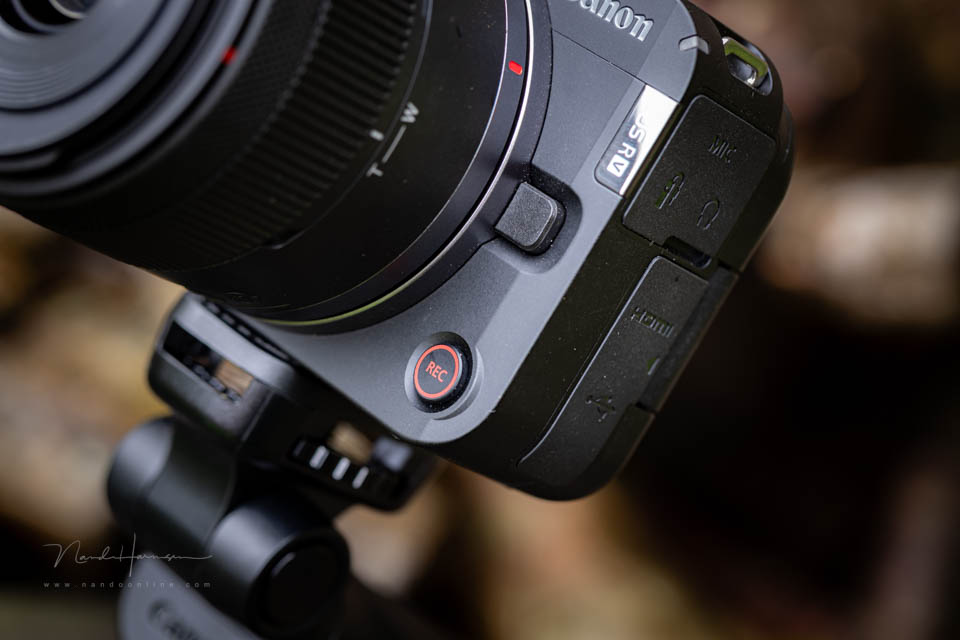 Nando Canon EOS R50 V 13 Nando Canon EOS R50 V 13