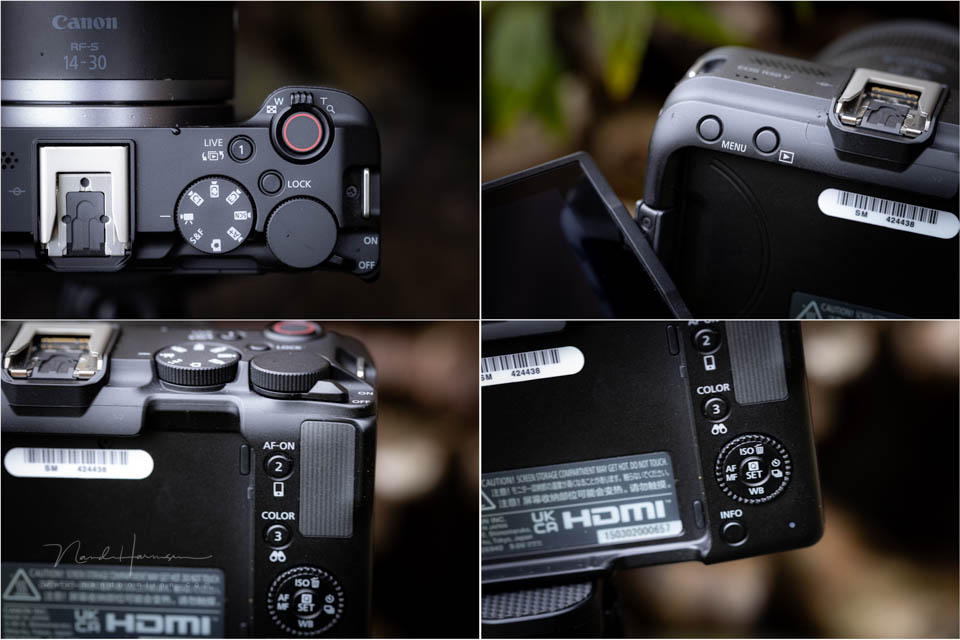 Nando Canon EOS R50 V 14 Nando Canon EOS R50 V 14