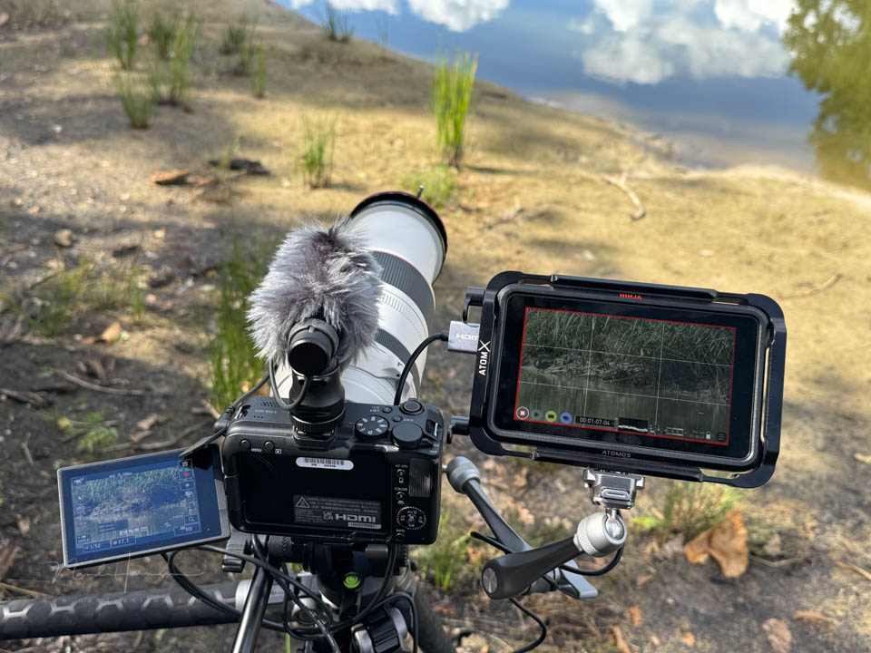 Nando Canon EOS R50 V 2 Nando Canon EOS R50 V 2