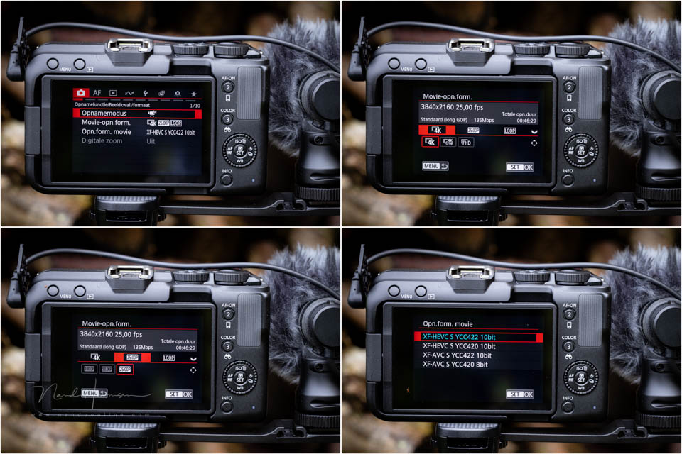 Nando Canon EOS R50 V 21 Nando Canon EOS R50 V 21