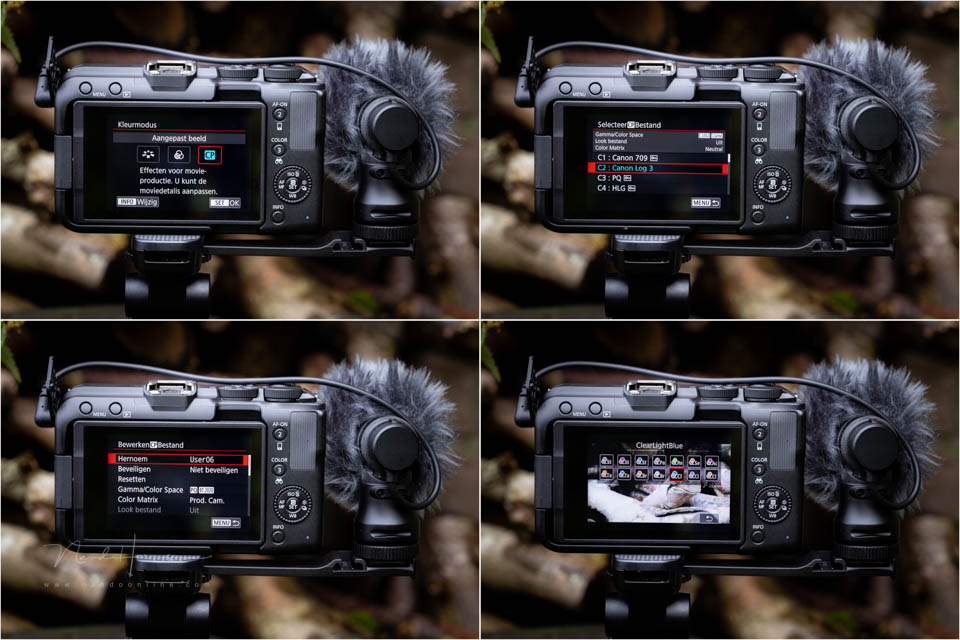 Nando Canon EOS R50 V 22 Nando Canon EOS R50 V 22