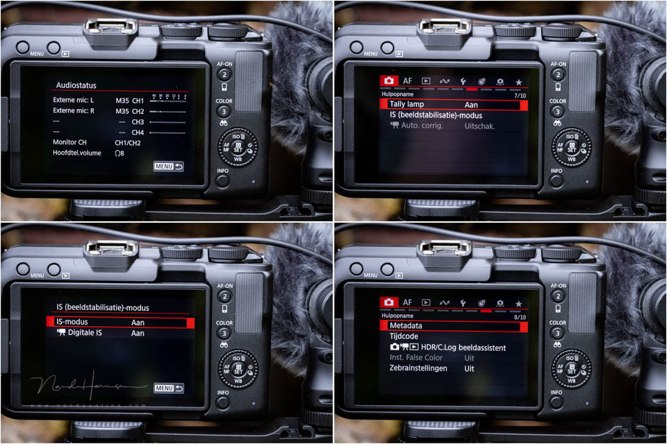 Nando Canon EOS R50 V 23 Nando Canon EOS R50 V 23