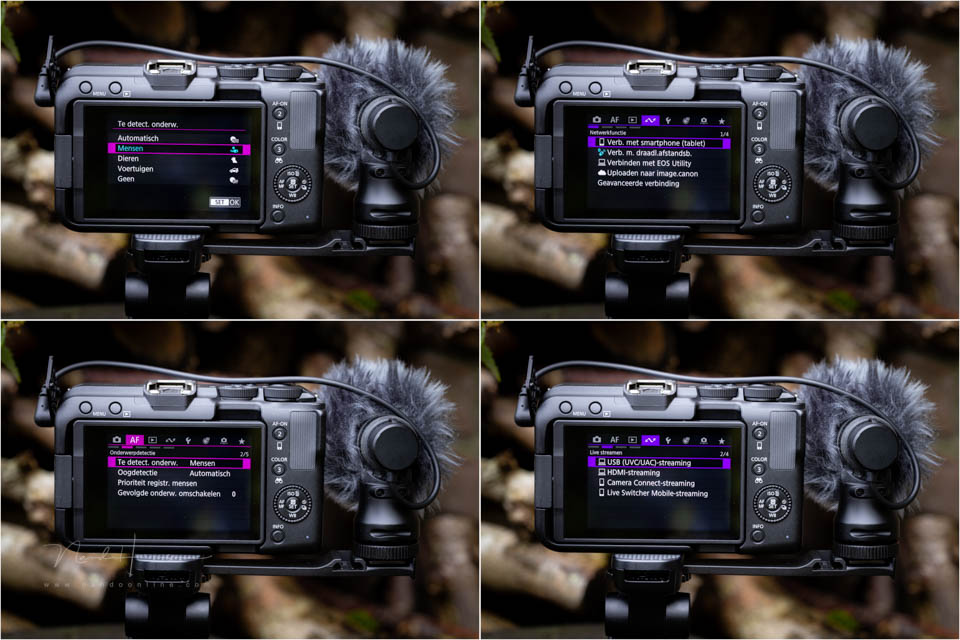 Nando Canon EOS R50 V 24 Nando Canon EOS R50 V 24