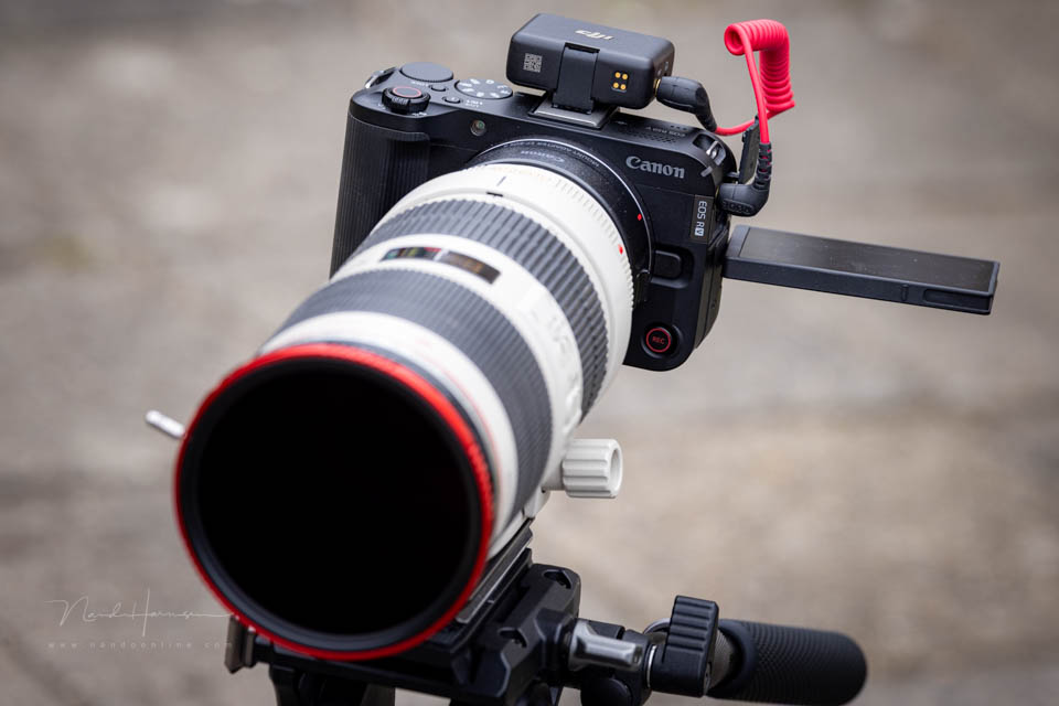 Nando Canon EOS R50 V 4 Nando Canon EOS R50 V 4