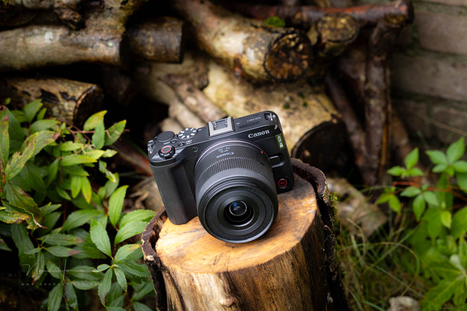Nando Canon EOS R50 V 8 Nando Canon EOS R50 V 8