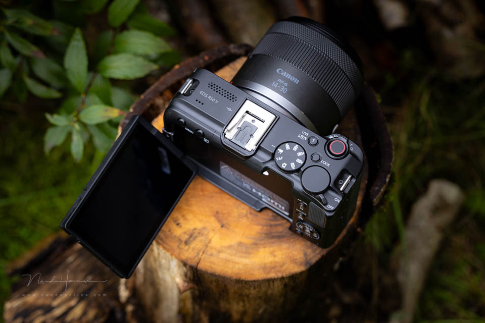 Nando Canon EOS R50 V 9 Nando Canon EOS R50 V 9
