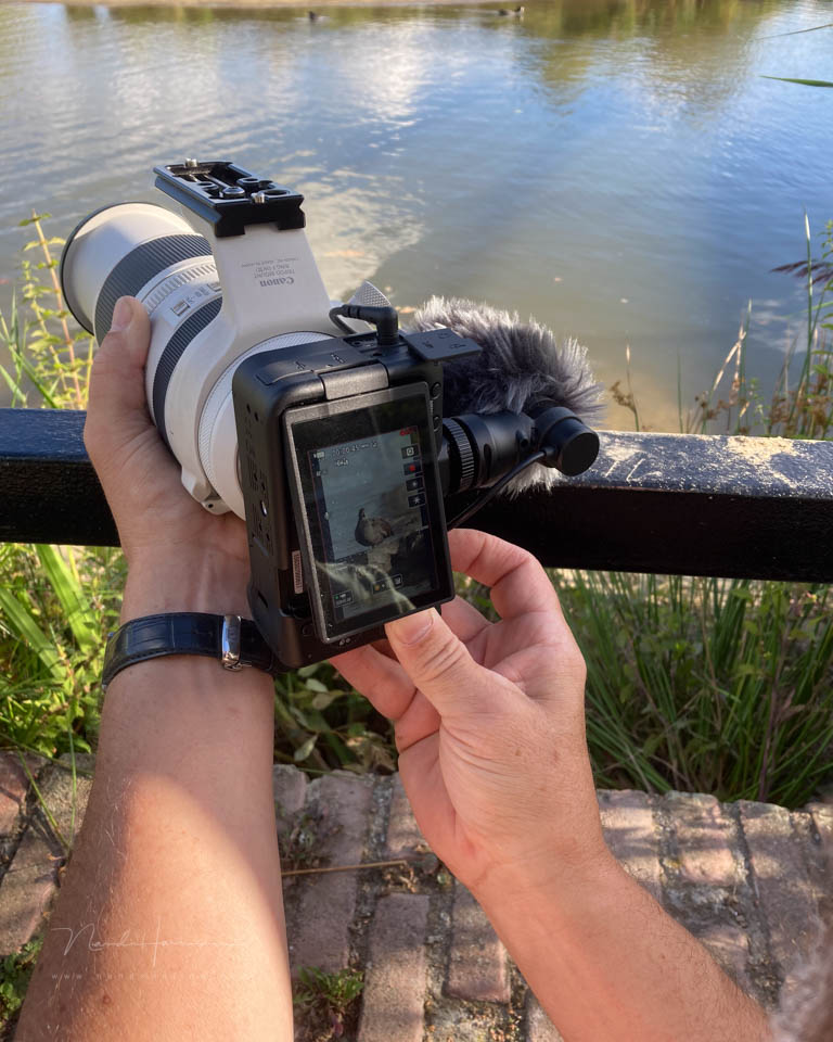 Nando Canon EOS R50 V Nando Canon EOS R50 V