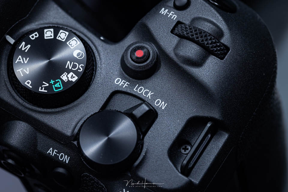 Nando Canon EOS R6 Mark II 12