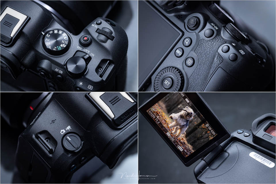 Nando Canon EOS R6 Mark II 13