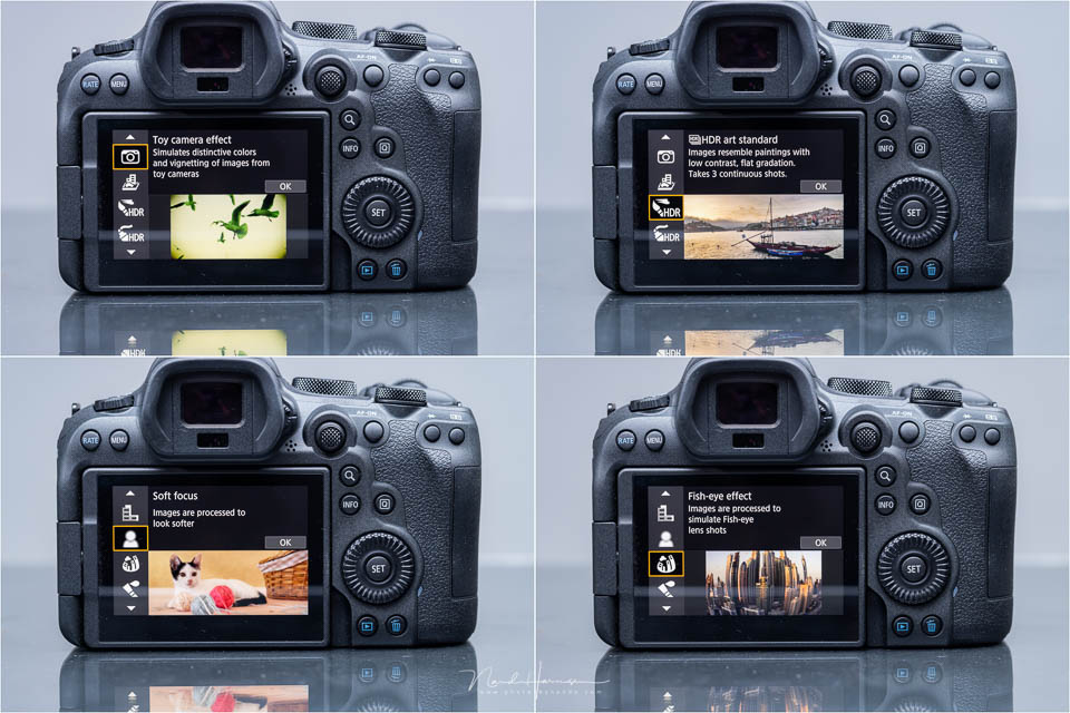 Nando Canon EOS R6 Mark II 21