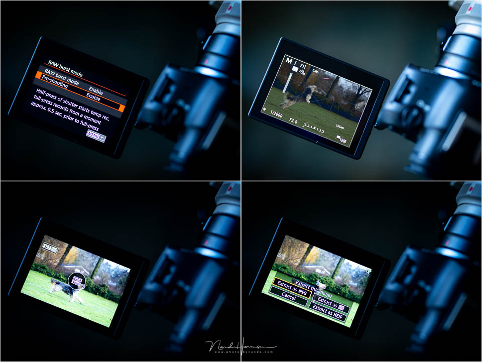 Nando Canon EOS R6 Mark II 27