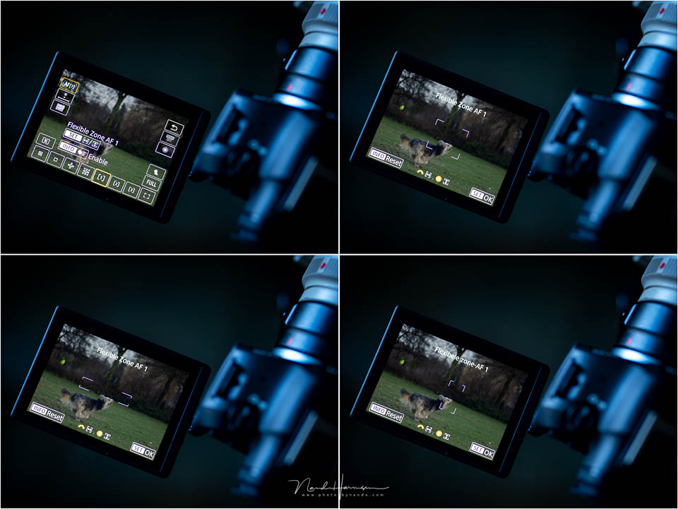 Nando Canon EOS R6 Mark II 28