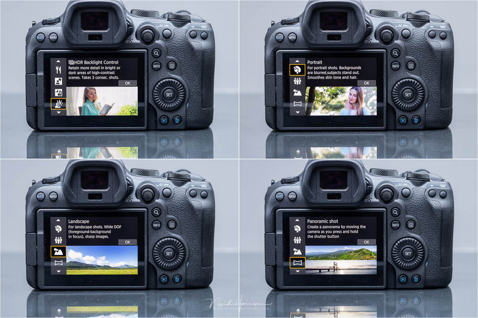 Nando Canon EOS R6 Mark II 29