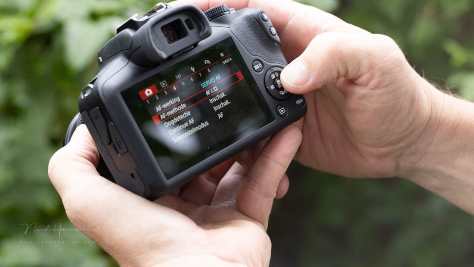 Nando using the Canon menu Nando using the Canon menu