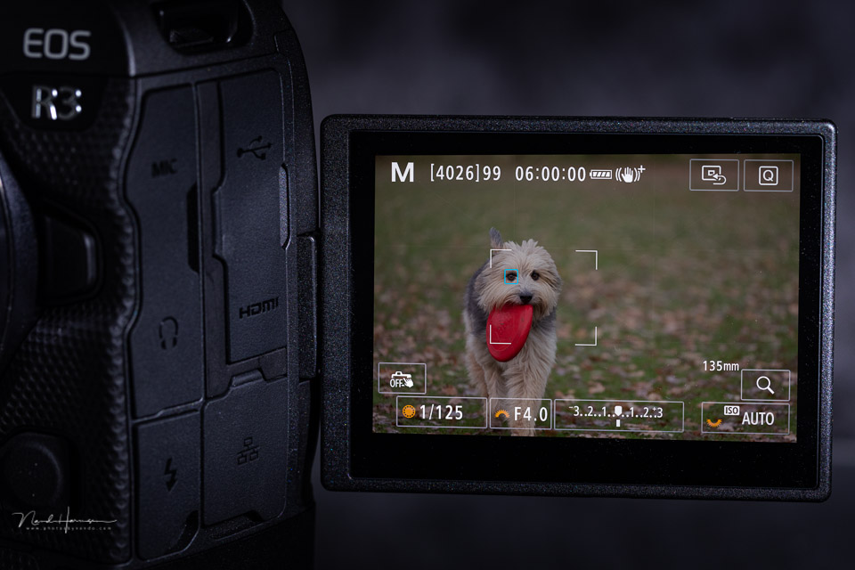 Nando canon r3 LCD image