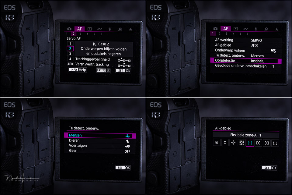 Nando canon r3 AF system