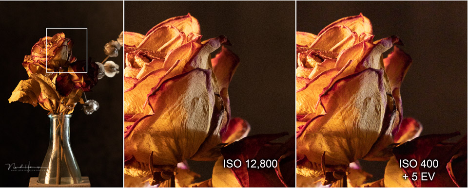 Nando canon r3 image quality