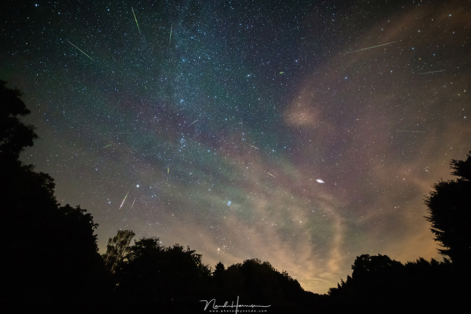 Nando shooting star collage