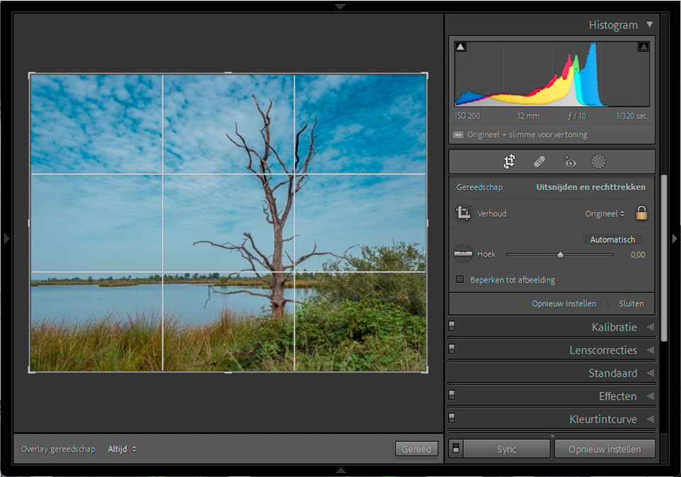 Nando crop tool diagonal rule of thirds