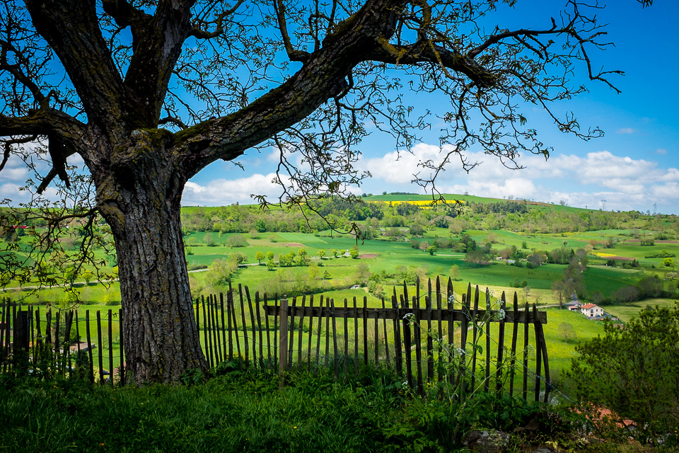 Nando daylight landscape