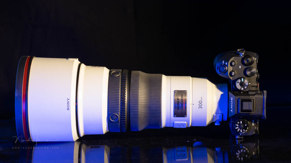 Nando the Sony 300mm prime Nando the Sony 300mm prime