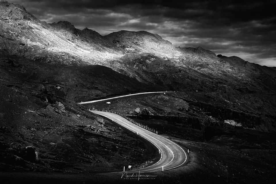Nando the road
