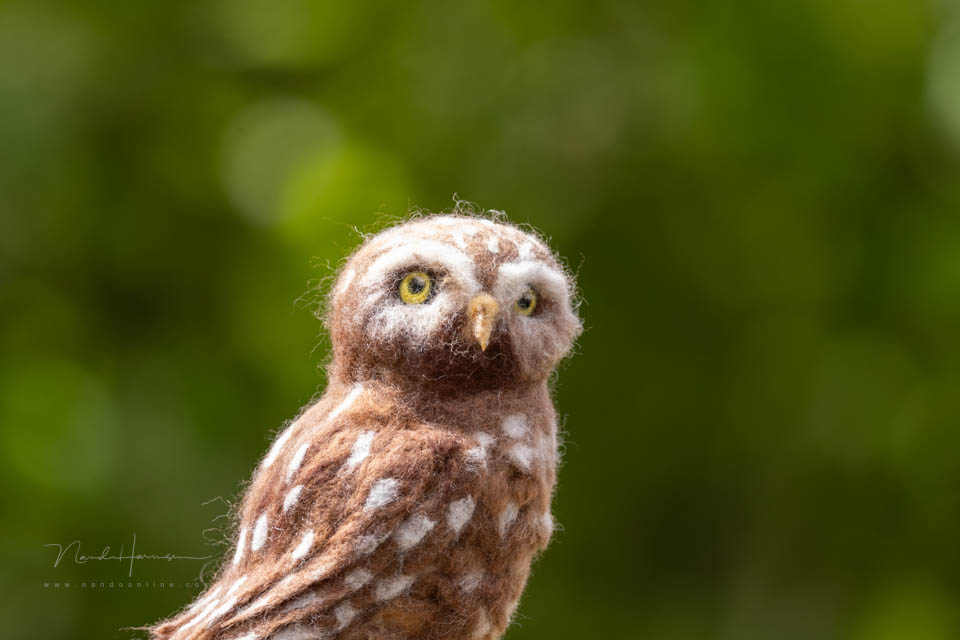 Nando dof 400mm crop f2 8