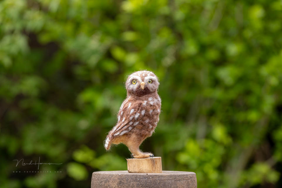 Nando dof 400mm f5 6