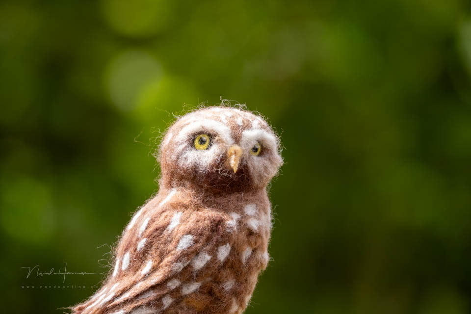 Nando dof 800mm f/5 6