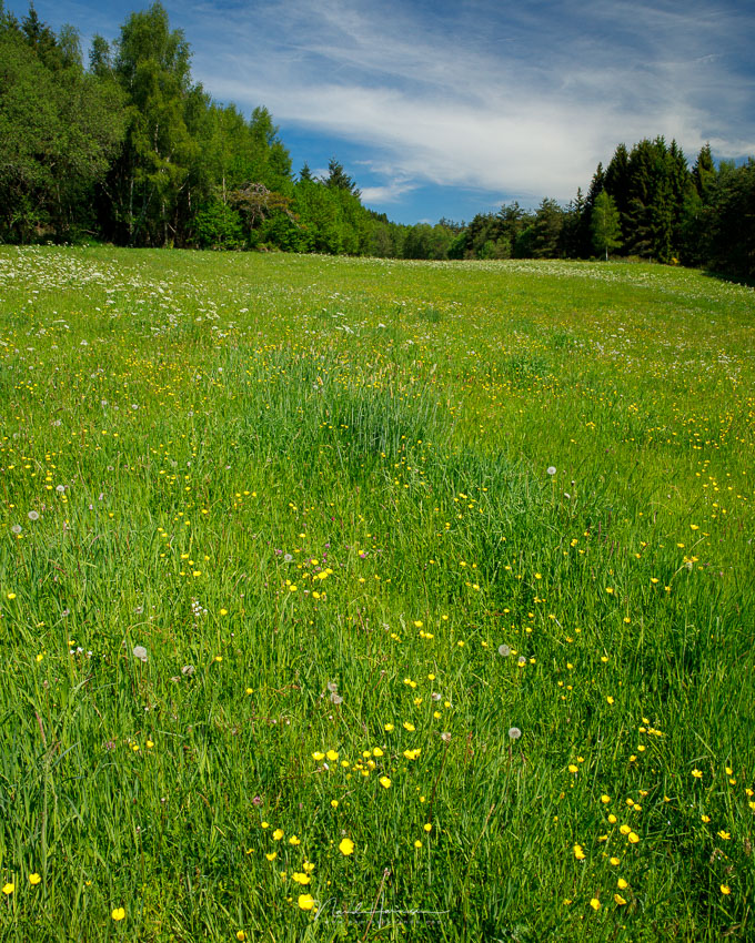 Nando shallow depth of field landscape 2 Nando shallow depth of field landscape 2