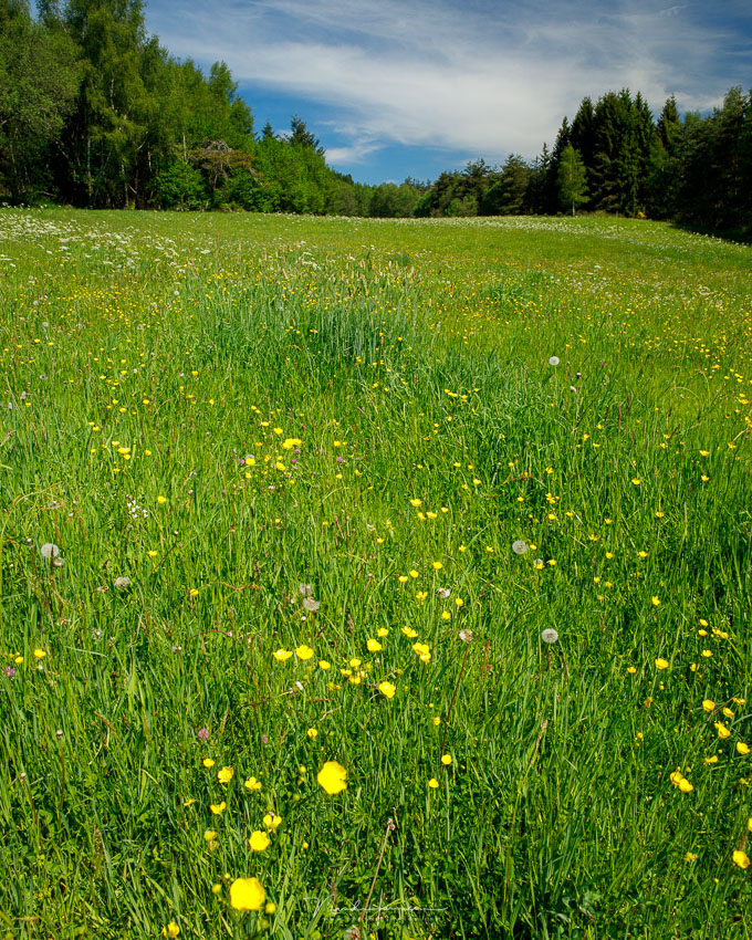 Nando shallow depth of field landscape 3 Nando shallow depth of field landscape 3