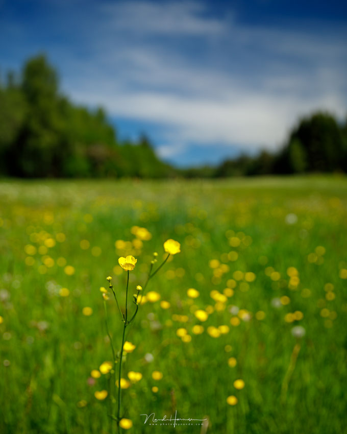 Nando shallow depth of field landscape 4 Nando shallow depth of field landscape 4
