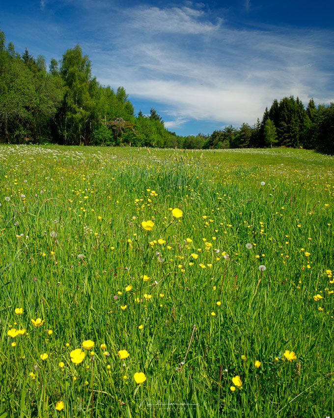 Nando shallow depth of field landscape Nando shallow depth of field landscape