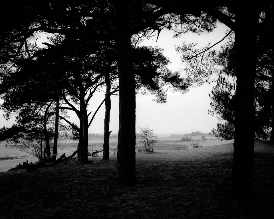 Nando frame 2 Nando frame 2