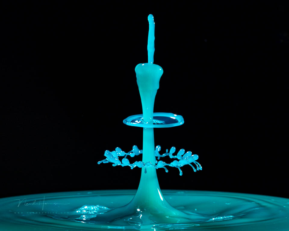 Nando drop photography Nando drop photography