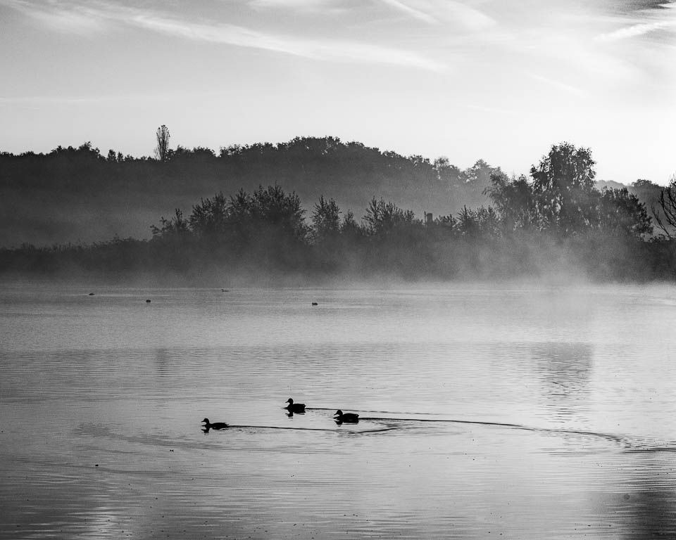 Nando ducks out of the mist