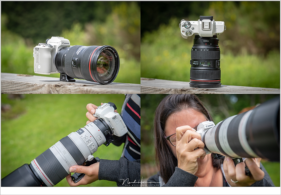 Nando eos m50 old lenses