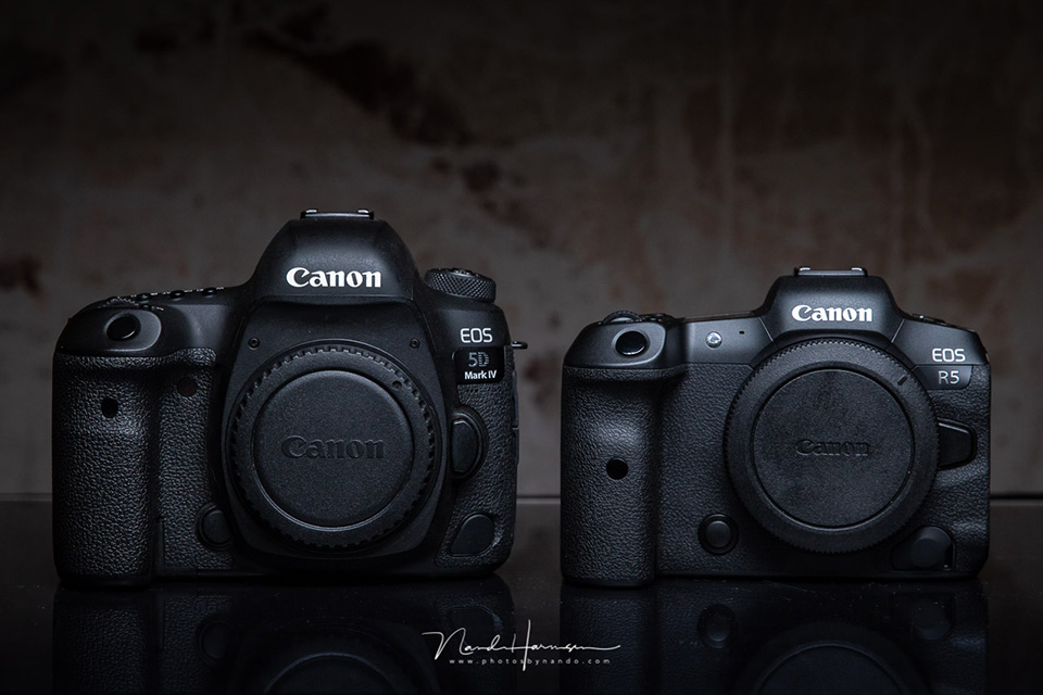 Nando eos r5 compare 5d4 01 Nando eos r5 compare 5d4 01