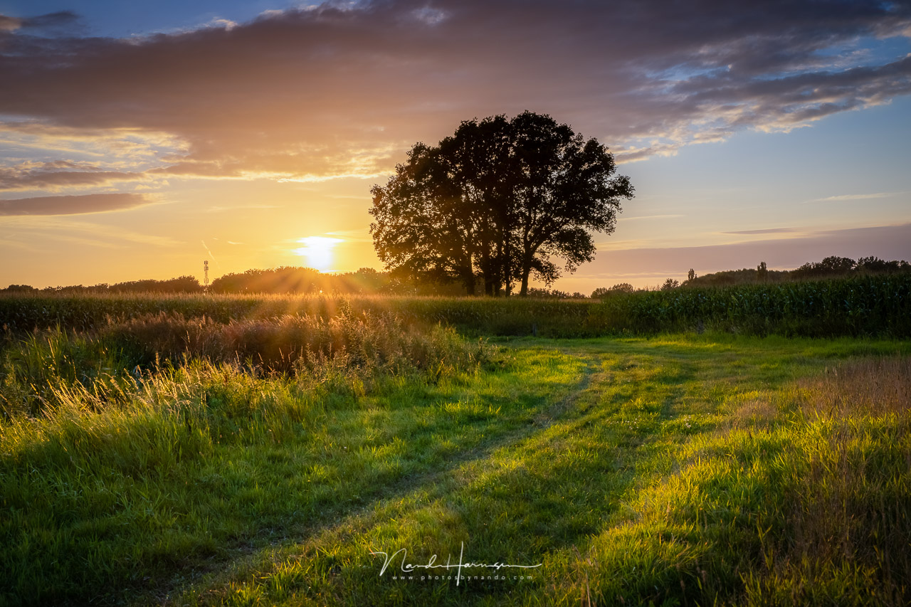 Nando eos r5 landscape 05 Nando eos r5 landscape 05