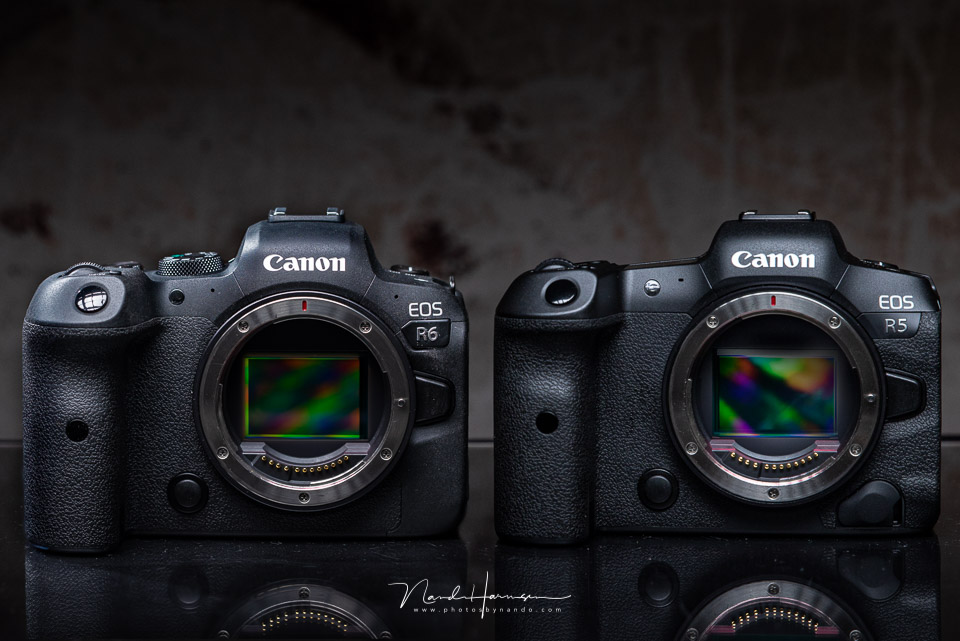 Canon EOS R5 versus EOS R6 Canon EOS R5 versus EOS R6