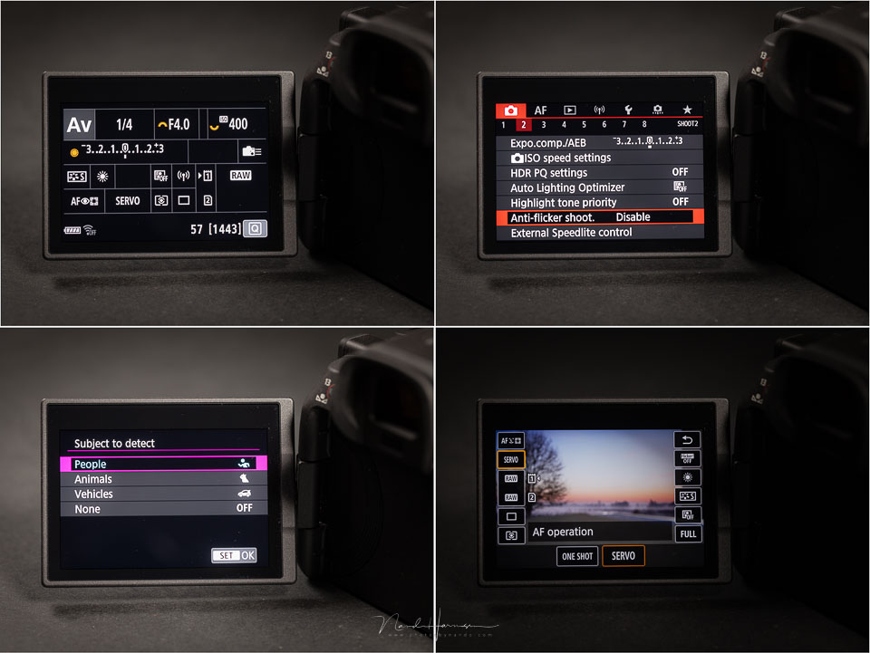 Nando EOS R5 C stills menu