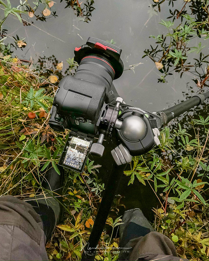 Nando EOS R6 in use 02 Nando EOS R6 in use 02