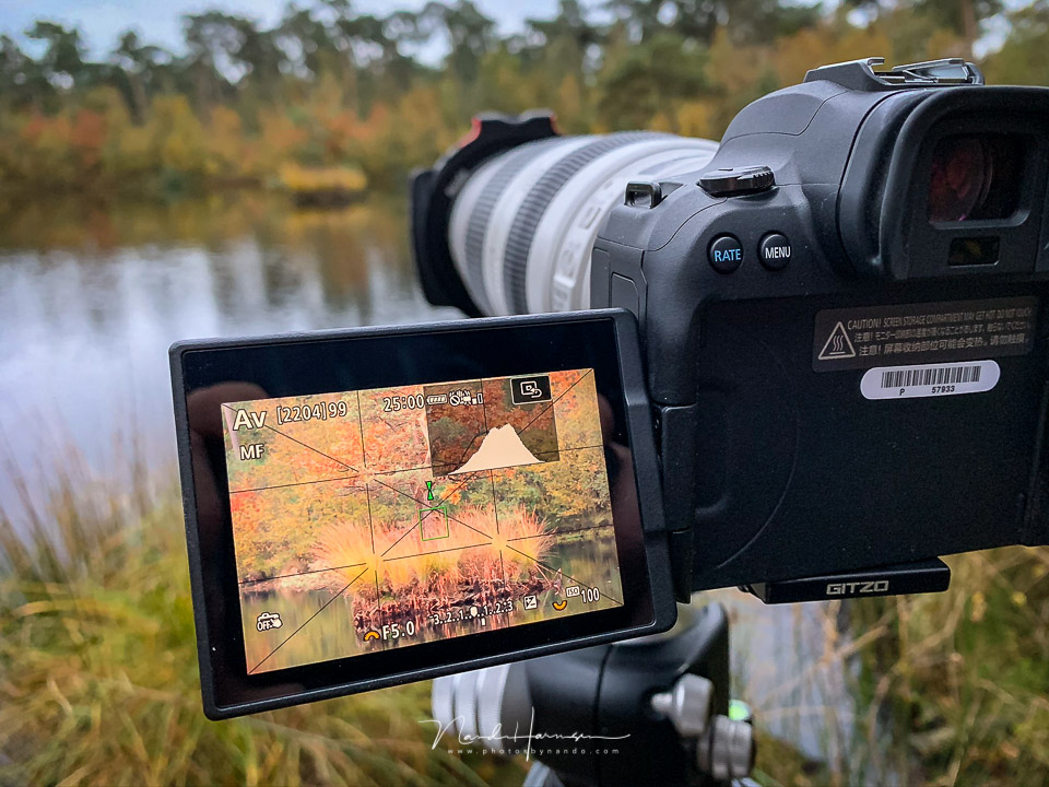 Nando EOS R6 in use 03 Nando EOS R6 in use 03