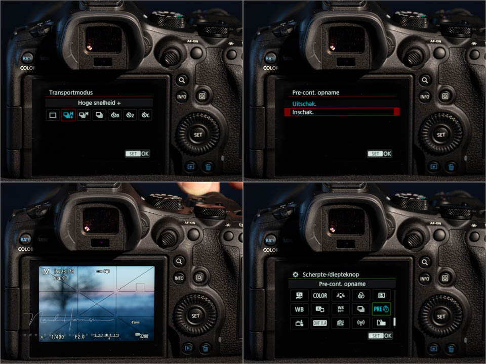 Nando EOS R6 pre-capture 2 Nando EOS R6 pre-capture 2