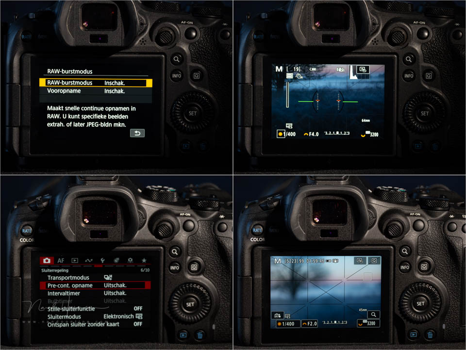 Nando EOS R6 pre-capture Nando EOS R6 pre-capture